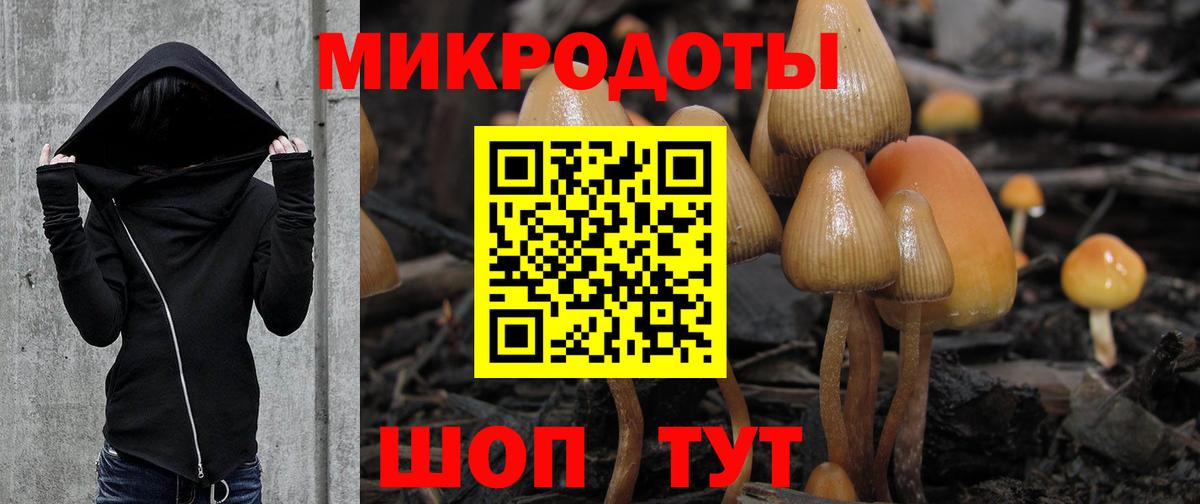 Галлюциногенные грибы MAGIC MUSHROOMS  Вход с VPN  Ачинск  Псилоцибиновые грибы Psilocybine cubensis 